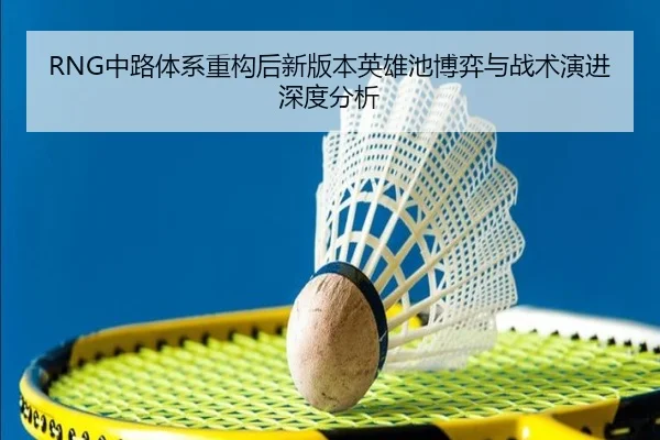RNG中路体系重构后新版本英雄池博弈与战术演进深度分析