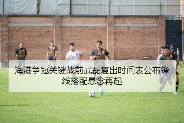 海港争冠关键战前武磊复出时间表公布锋线搭配悬念再起